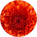 Noralies van B. profielfoto